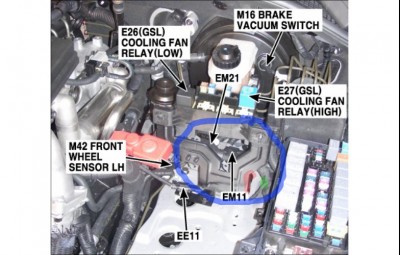 em11.jpg