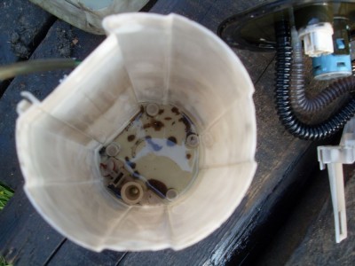 SDC10157.JPG