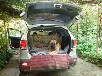 фото с люмикс 758 640п.кс..jpg