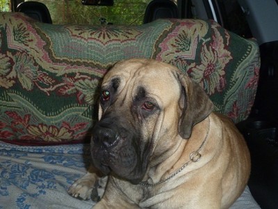 фото с люмикс 760 640 п.кс..jpg