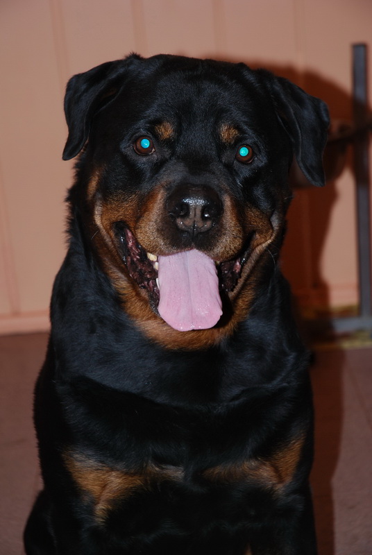 DSC_2716.jpg