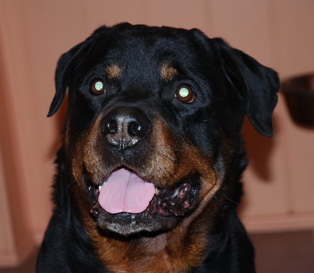 DSC_2712.jpg