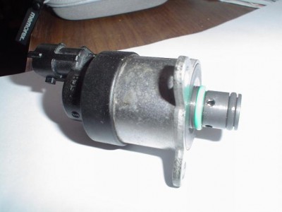 DSC06481-1.JPG