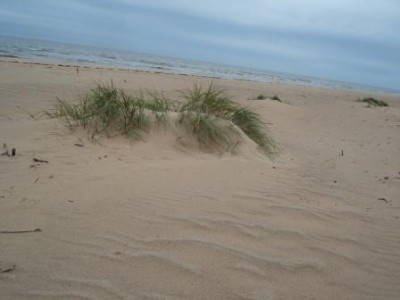 DSC01845.JPG