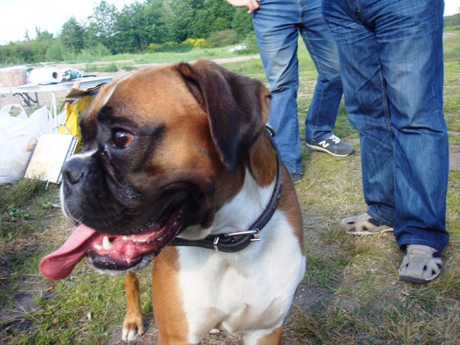 DSC00469_.JPG