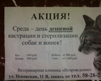 Фото-0010.packed.jpeg (70.67 КБ) Просмотров: 3130 Фото-0010.packed.jpeg