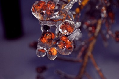 z_c724063e.jpg
