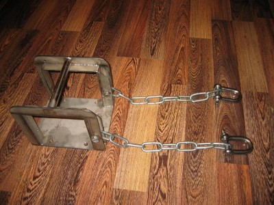 IMG_0263.JPG (107.79 КБ) Просмотров: 2377 IMG_0263.JPG