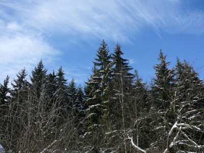 P1020651.JPG