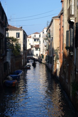 DSC_1034.jpg