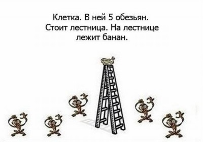 y_96f89a59.jpg