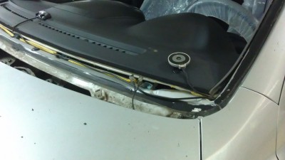 IMAG0096.jpg