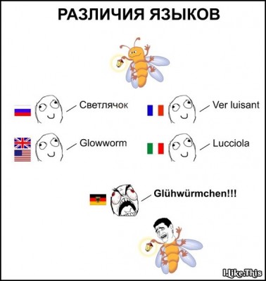 x_45b3c9e4.jpg