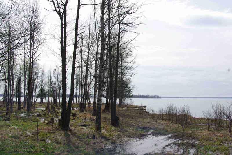 Место Рыбалки
