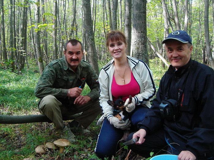 В лес за грибами