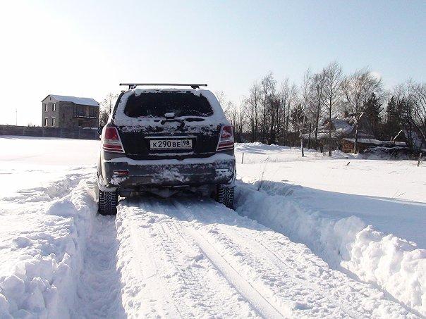 сорька