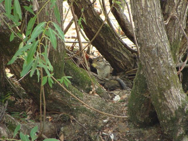 День рыбака