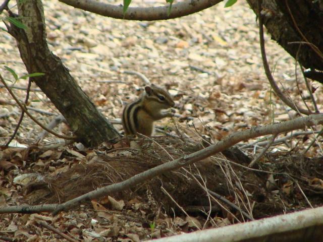 День рыбака