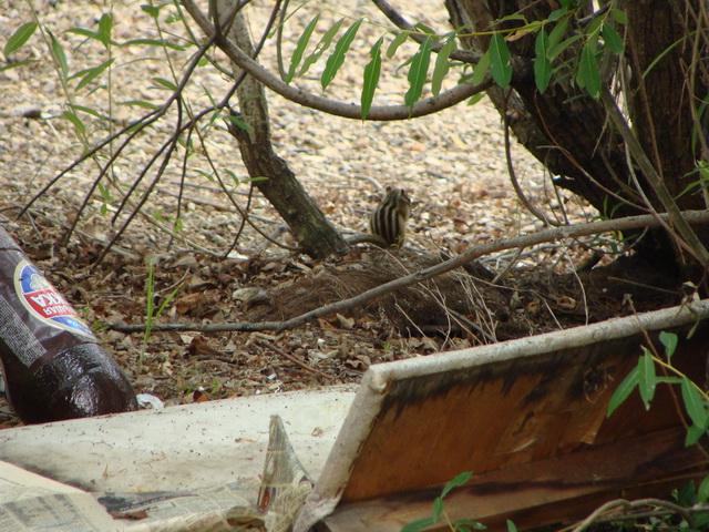 День рыбака