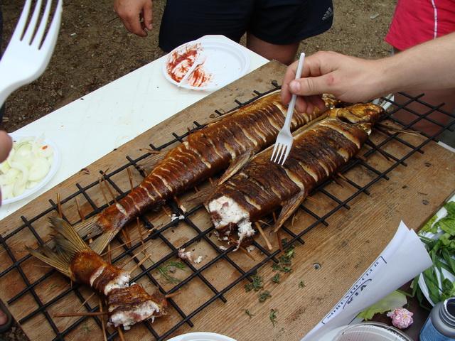 День рыбака