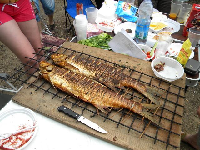 День рыбака