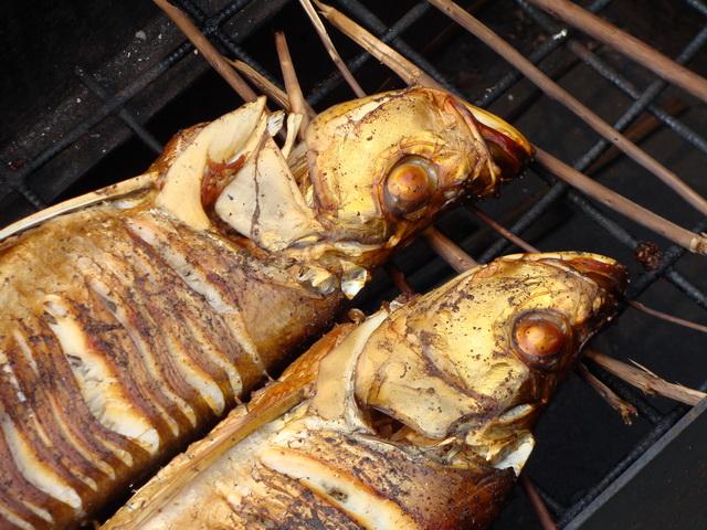 День рыбака