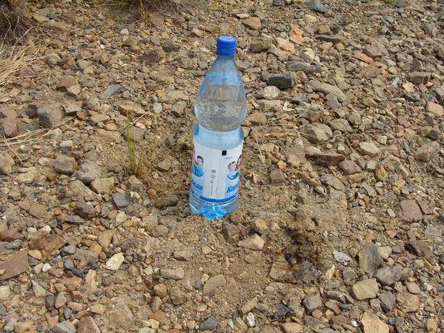 День рыбака