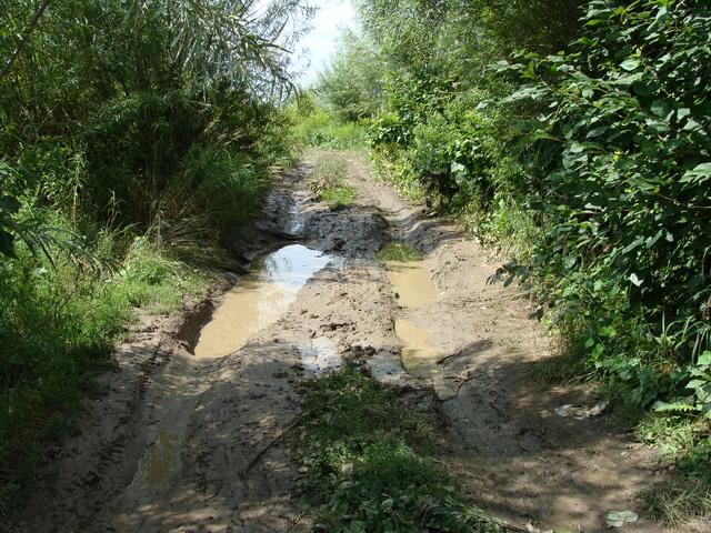 Разведка в Малышево