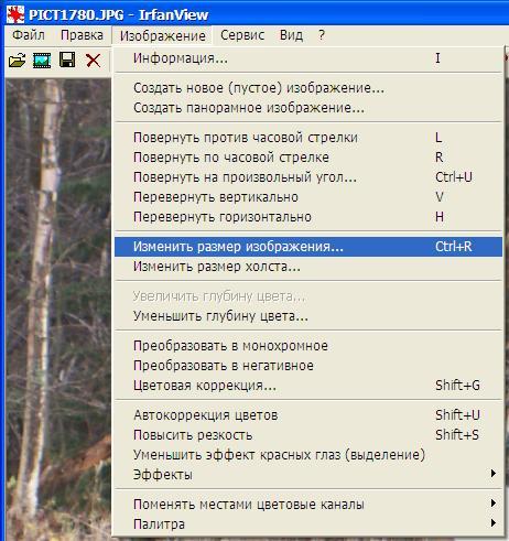 resize-01
