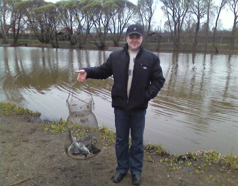 Fish
