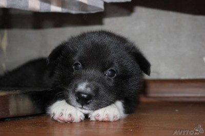 131616366.jpg (23.01 КБ) Просмотров: 3099 131616366.jpg