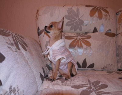 P1010212_thumb.jpg (77.54 КБ) Просмотров: 2940 P1010212_thumb.jpg