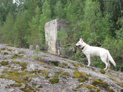 IMG_1258.JPG (216.86 КБ) Просмотров: 3322 IMG_1258.JPG