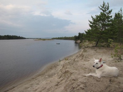 IMG_1378.JPG (93.77 КБ) Просмотров: 3322 IMG_1378.JPG