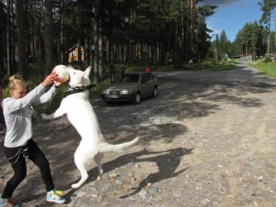 IMG_1464.JPG (142.79 КБ) Просмотров: 3322 IMG_1464.JPG