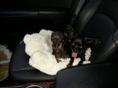 uploadfromtaptalk1380048576676.jpg (45.22 КБ) Просмотров: 2923 uploadfromtaptalk1380048576676.jpg