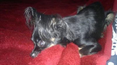 uploadfromtaptalk1380051172900.jpg (54.03 КБ) Просмотров: 2916 uploadfromtaptalk1380051172900.jpg