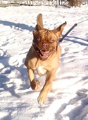 Безымянный.jpg (151.77 КБ) Просмотров: 2286 Безымянный.jpg