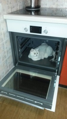 imag3056.jpg (57.79 КБ) Просмотров: 3984 imag3056.jpg