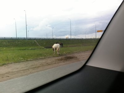 IMG_20150719_151139.jpg (420.62 КБ) Просмотров: 9700 IMG_20150719_151139.jpg