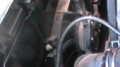 S1180012.JPG (119.75 КБ) Просмотров: 7836 S1180012.JPG