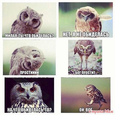 13823237_88157nothumb650.jpg (68.25 КБ) Просмотров: 6369 13823237_88157nothumb650.jpg