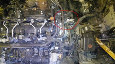 IMG_20160222_134247.jpg (73.1 КБ) Просмотров: 12313 IMG_20160222_134247.jpg