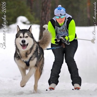 ipiY9s8MP0A.jpg (68.94 КБ) Просмотров: 4697 ipiY9s8MP0A.jpg