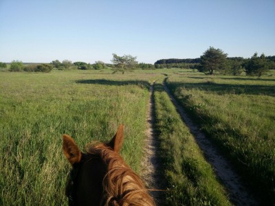 image.jpeg (374.39 КБ) Просмотров: 16932 image.jpeg