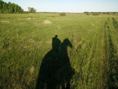 image.jpeg (432.39 КБ) Просмотров: 16944 image.jpeg