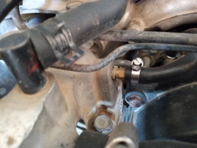 20200613_085939999.jpg (392.63 КБ) Просмотров: 2508 20200613_085939999.jpg