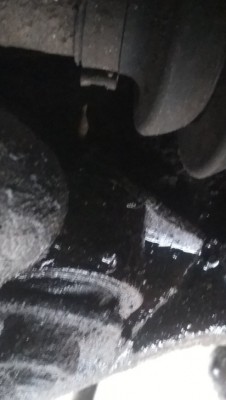 432947-fotor-20231026113555.jpg (247.91 КБ) Просмотров: 2126 432947-fotor-20231026113555.jpg