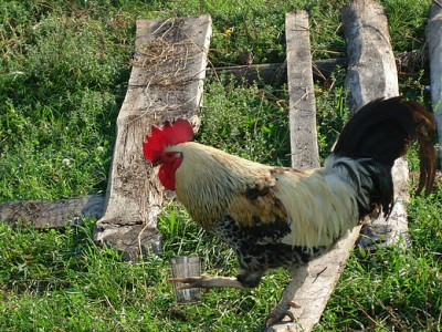 Derzhit_stakan.jpg (133.46 КБ) Просмотров: 3429 Derzhit_stakan.jpg